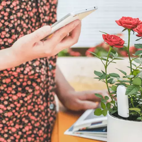سنسور نظارت بر گل و گیاه Xiaomi