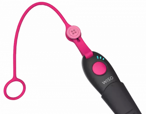 سوت هوشمند WISO مدل ASI-801 SAFSMART