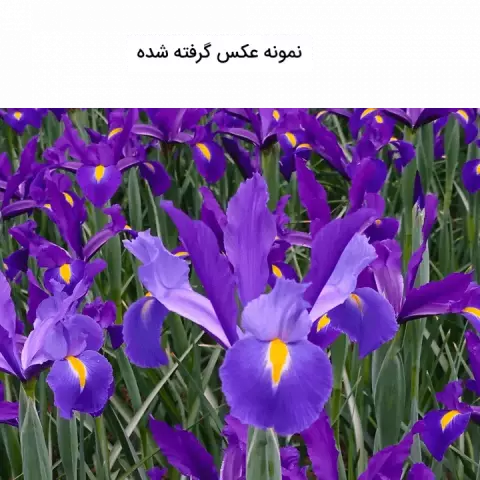 گوشی موبایل 64 گیگابایت Xiaomi مدل REDMI NOTE 9 NFC نسخه گلوبال
