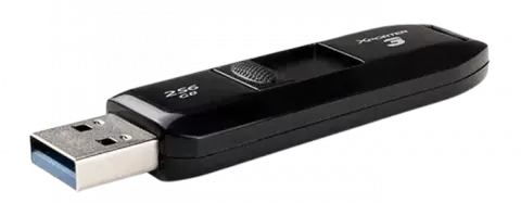 فلش مموری 256 گیگابایت Patriot مدل  Xporter 3