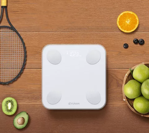 ترازو هوشمند XIAOMI مدل YUNMAI MINI2 M1690