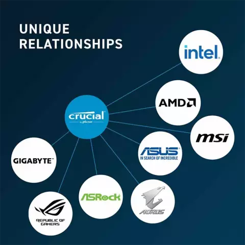 رم دسکتاپ (8GB*1) 8 گیگابایت Crucial مدل CT8G48C40U5 DDR5 4800MHz