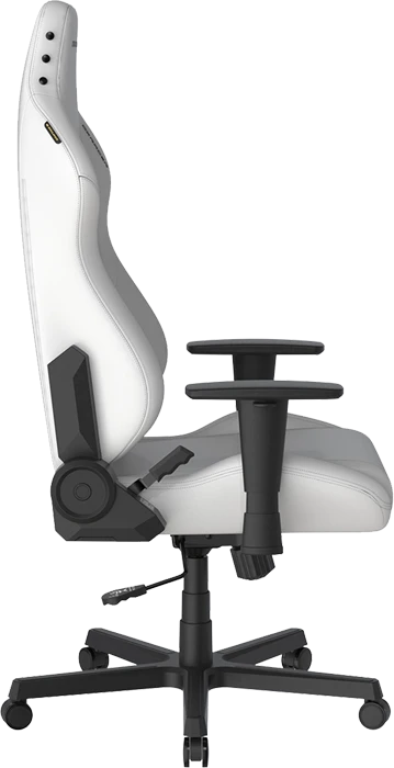 صندلی گیمینگ DXRACER مدل Drifting Series 2025 L
