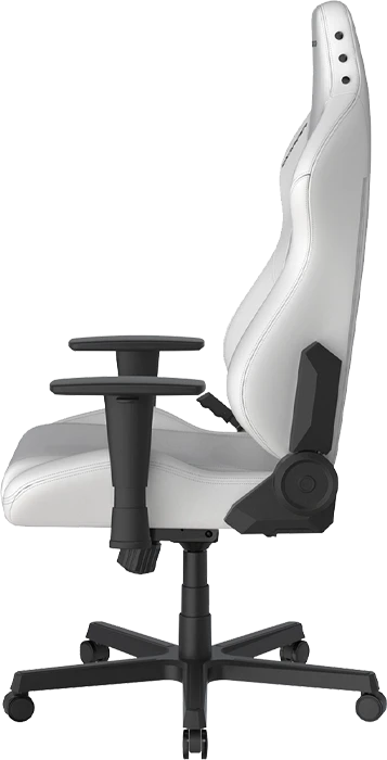 صندلی گیمینگ DXRACER مدل Drifting Series 2025 L