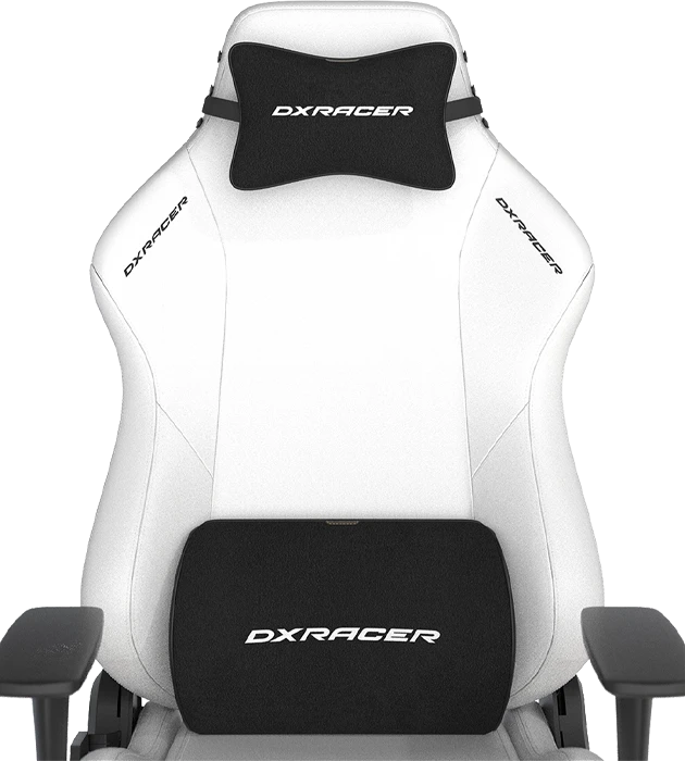 صندلی گیمینگ DXRACER مدل Drifting Series 2025 L