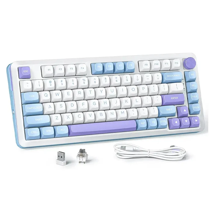 کیبورد مکانیکال گیمینگ بی سیم Redragon مدل Cyrus PRO K681 WBP