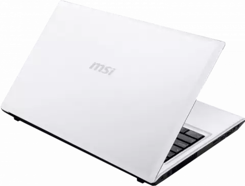 لپ تاپ 15.6اینچی MSI CLASSICS مدل CX61 2PC 130XIR