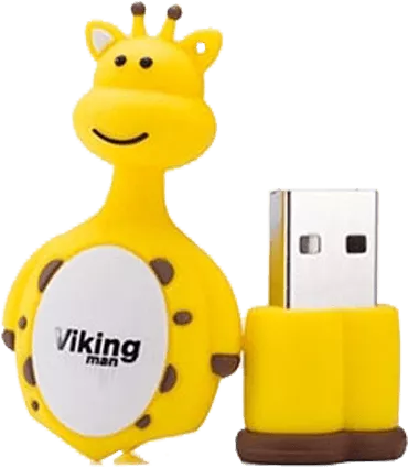 فلش مموری 8گیگابایت Viking مدل VM273