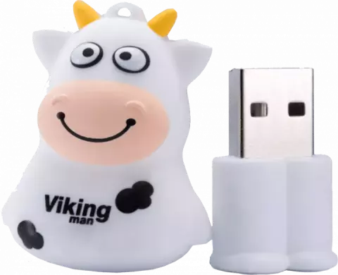 فلش مموری 8گیگابایت Viking مدل VM208