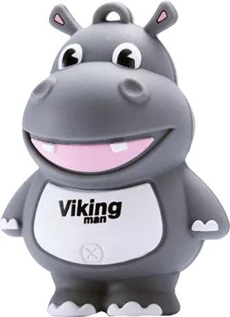 فلش مموری 16گیگابایت Viking مدل VM201