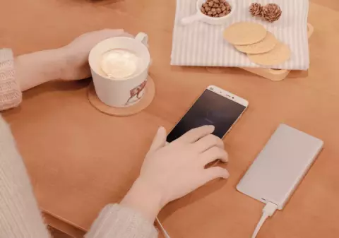پاور بانک 10000میلی آمپر ساعت Xiaomi مدل 2S PLM09ZM