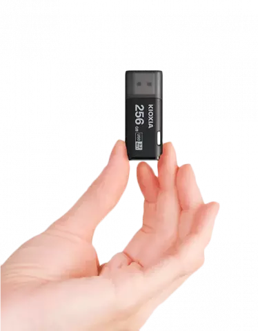 فلش مموری 256 گیگابایت KIOXIA مدل U301