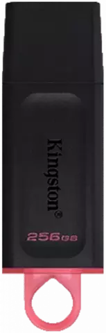 فلش مموری 256 گیگابایت Kingston مدل DataTraveler Exodia