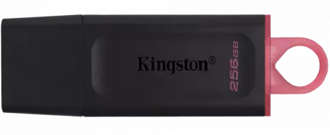 فلش مموری 256 گیگابایت Kingston مدل DataTraveler Exodia