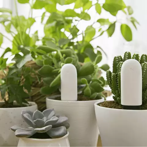 سنسور نظارت بر گل و گیاه Xiaomi