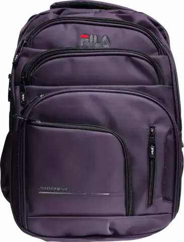 کوله پشتی لپ تاپ FILA مدل BB-03