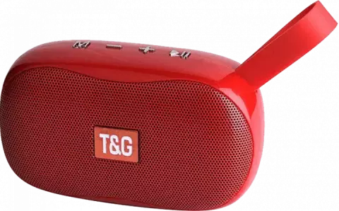اسپیکر قابل حمل T-G مدل TG-173