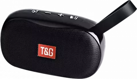 اسپیکر قابل حمل T-G مدل TG-173