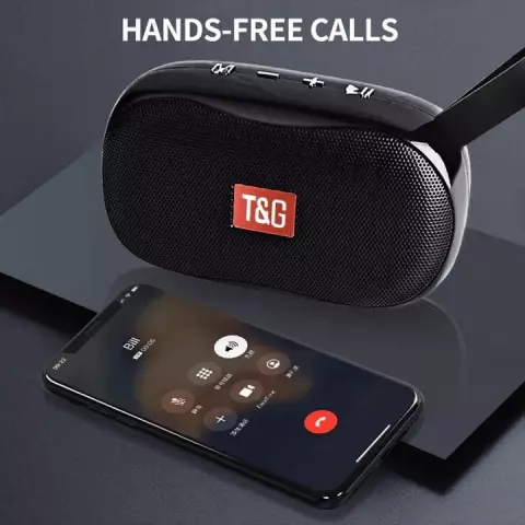 اسپیکر قابل حمل T-G مدل TG-173
