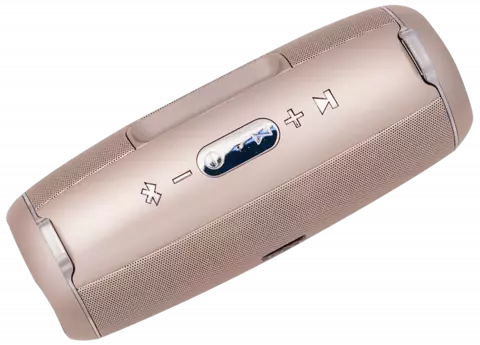 اسپیکر قابل حمل TSCO مدل TS 2361