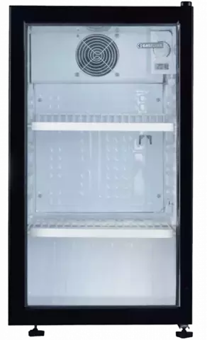 یخچال 5 فوت ایستکول مدل شوکیس TM-9580 CS