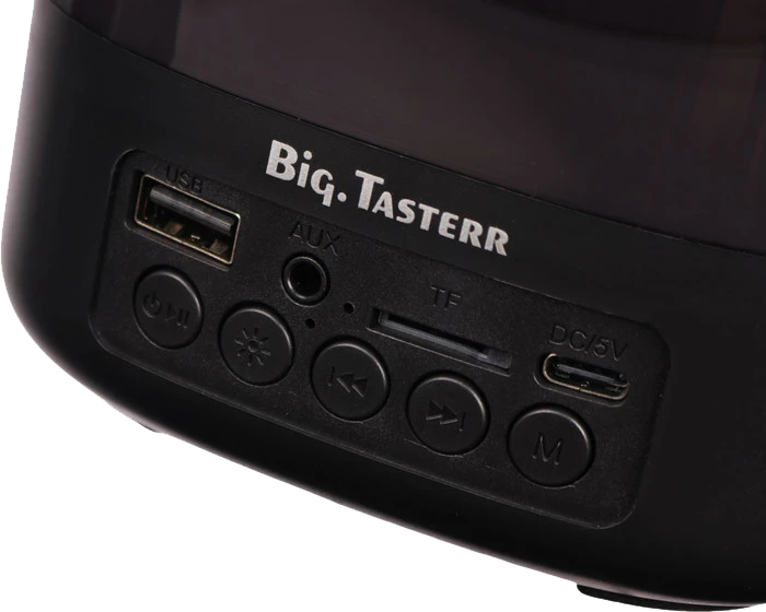 اسپیکر قابل حمل Biq Tasterr مدل BI001