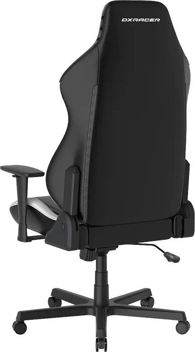 صندلی گیمینگ DXRACER مدل Drifting Series 2025 L