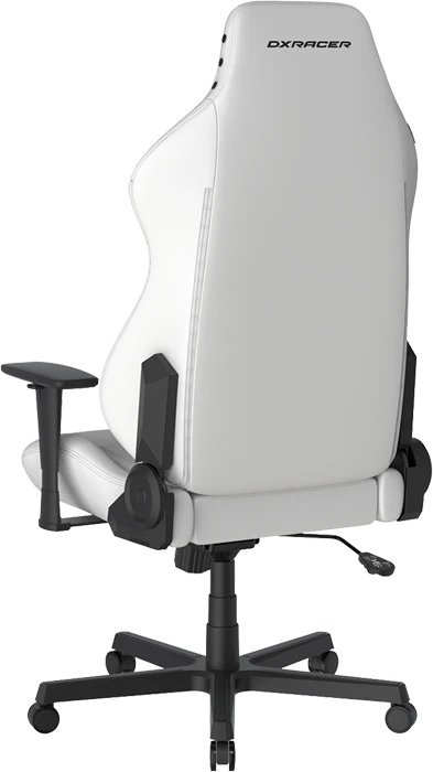 صندلی گیمینگ DXRACER مدل Drifting Series 2025 L