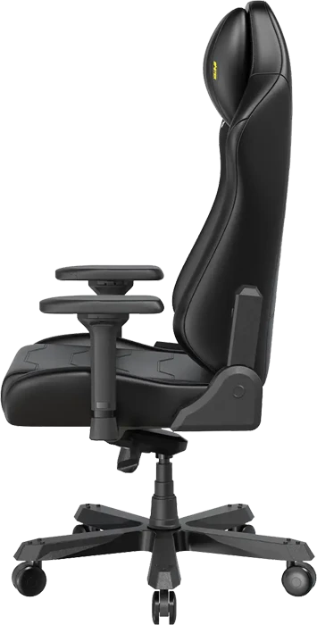 صندلی گیمینگ DXRACER مدل Master Series 2025 XL