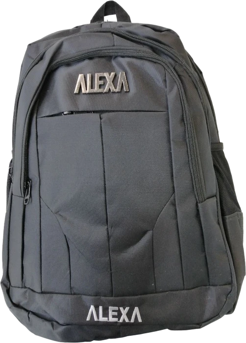 کیف لپ تاپ ALEXA مدل 1078