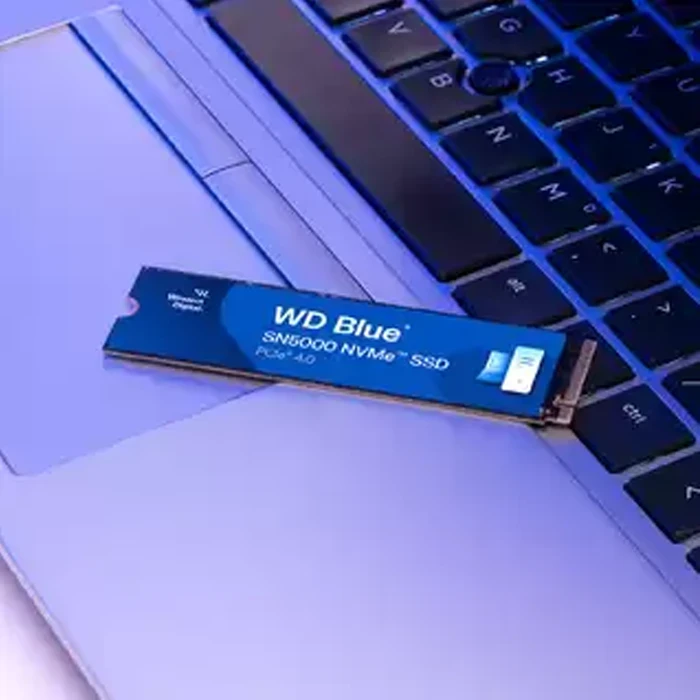 حافظه SSD اینترنال 1 ترابایت WD مدل Blue SN5000 WDS100T4B0E