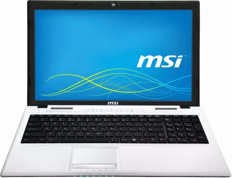 لپ تاپ 15.6اینچی MSI CLASSICS مدل CX61 2OC-106