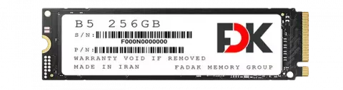 حافظه SSD اینترنال 256 گیگابایت FDK مدل B5 SERIES NVMe M.2