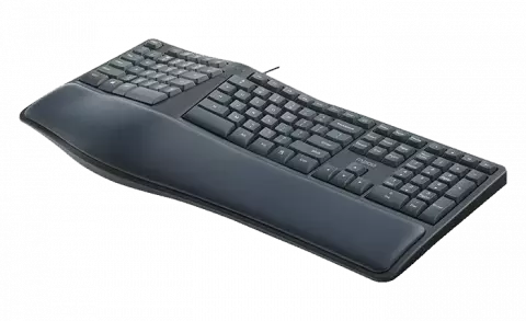 کیبورد سیمی Rapoo مدل  NK8800