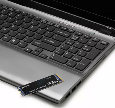 حافظه SSD اینترنال 256 گیگابایت PNY مدل CS1031 NVME M.2