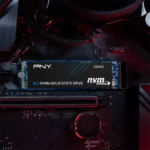 حافظه SSD اینترنال 256 گیگابایت PNY مدل CS1031 NVME M.2
