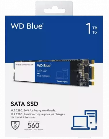حافظه SSD اینترنال 1 ترابایت WD مدل BLUE WDS100T2B0B M.2