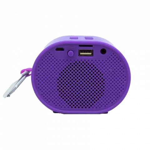 اسپیکر قابل حمل TSCO مدل TS 2340N