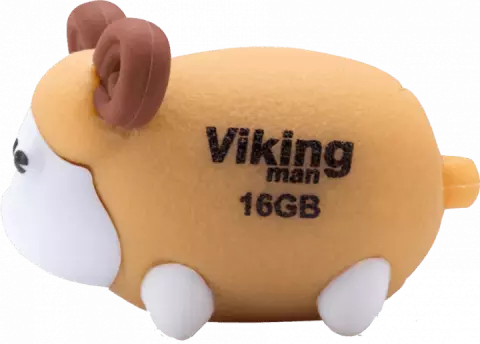 فلش مموری 16گیگابایت Viking مدل VM207