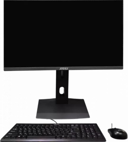 آل این وان (ALL IN ONE) 4 گیگابایت 256 گیگابایت 23.8 اینچ MSI مدل PRO 24X-10M-RISER