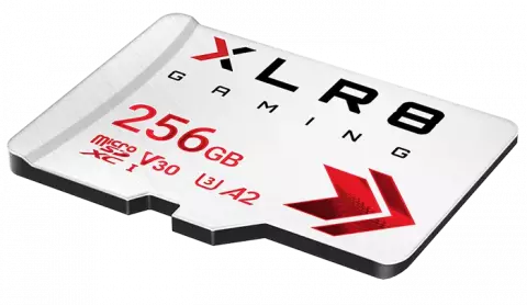 مموری کارت 256 گیگابایت PNY مدل XLR8 Gaming کلاس 10 استاندارد UHS-I U3